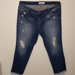 Torrid jeans